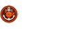 篮球直播